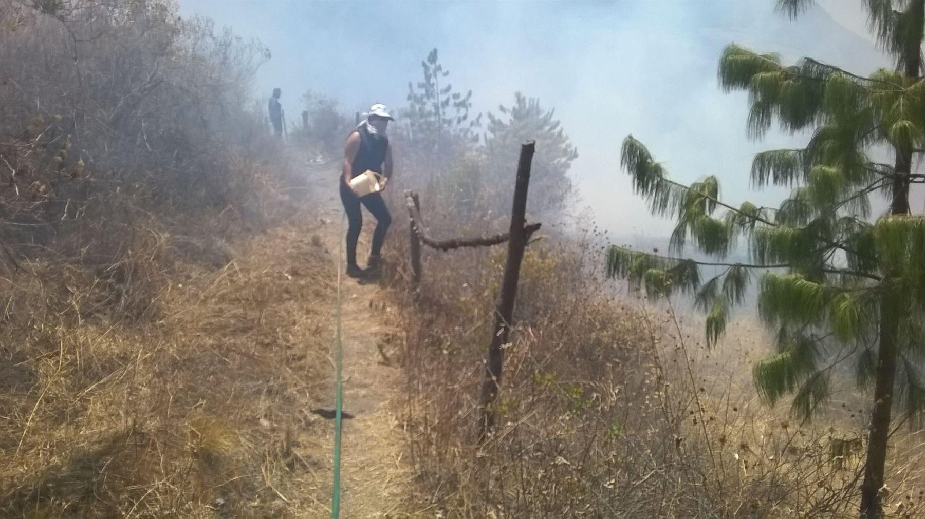 Trabajo buscando combatir el fuego. Foto: Andina